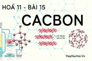 Tính chất hoá học của Cacbon (C), bài tập về cacbon - hoá 11 bài 15